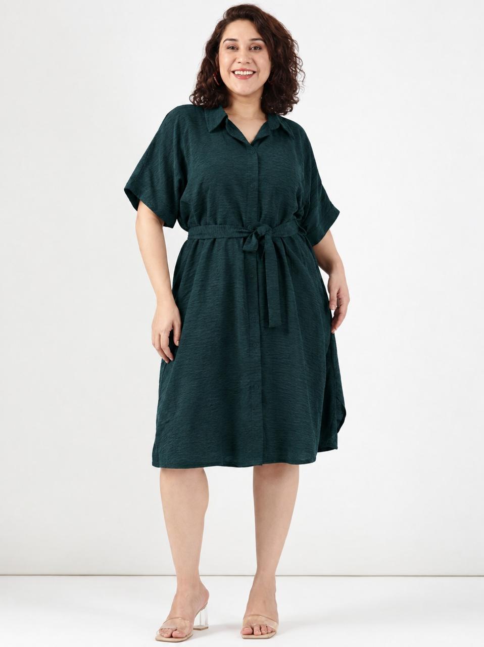 Solid Green A-Line Shirt Dress