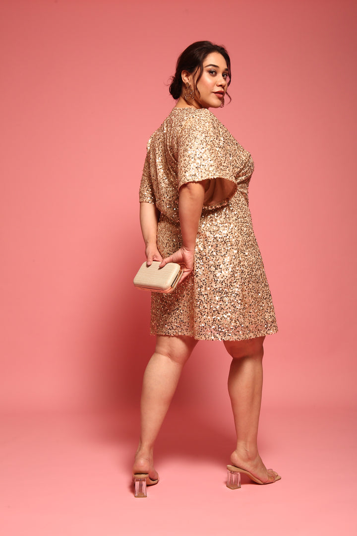 Beige Sequins Dress